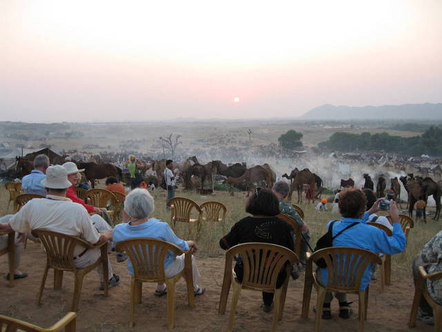  A World Famous Pushkar Cattle Fair 