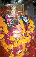  Temple of Mata Bhadrakali 